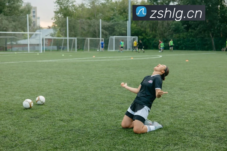 华体育网站平台生态图